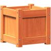 Odlingslåda vaxbrun 31x31x31 cm massiv furu vidaXL – miniatyr 2