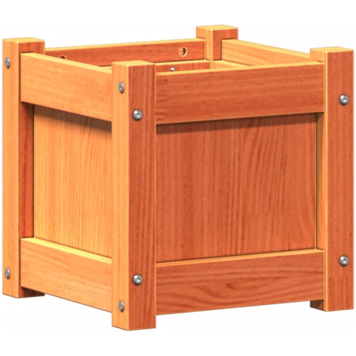 Odlingslåda vaxbrun 31x31x31 cm massiv furu vidaXL – bild 2