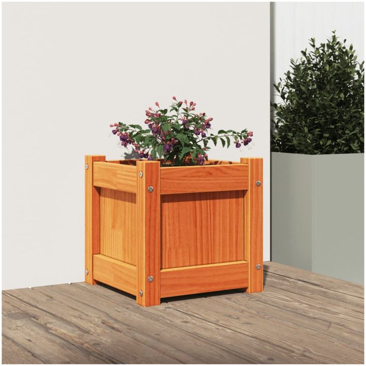 Odlingslåda vaxbrun 31x31x31 cm massiv furu vidaXL – bild 3