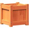 Odlingslåda vaxbrun 31x31x31 cm massiv furu vidaXL – miniatyr 7