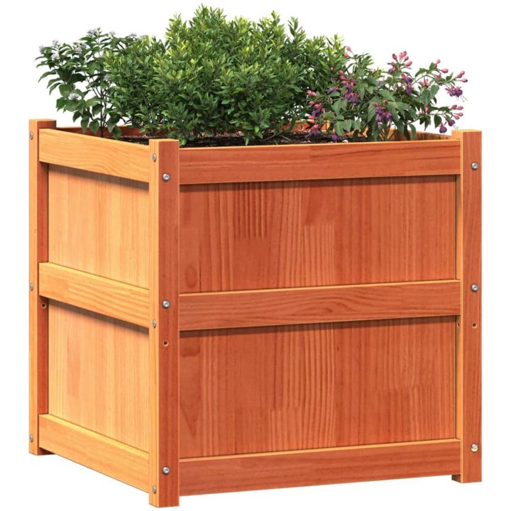 Odlingslåda vaxbrun 60x60x60 cm massiv furu vidaXL – bild 4