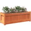 Odlingslåda vaxbrun 90x31x31 cm massiv furu vidaXL – miniatyr 4