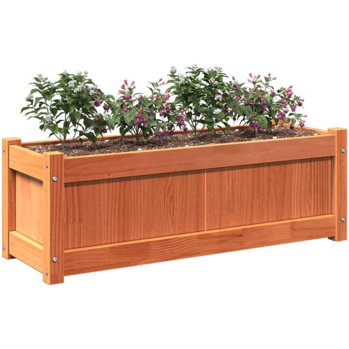 Odlingslåda vaxbrun 90x31x31 cm massiv furu vidaXL – bild 4