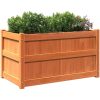 Odlingslåda vaxbrun 90x50x50 cm vit massiv furu vidaXL – miniatyr 4
