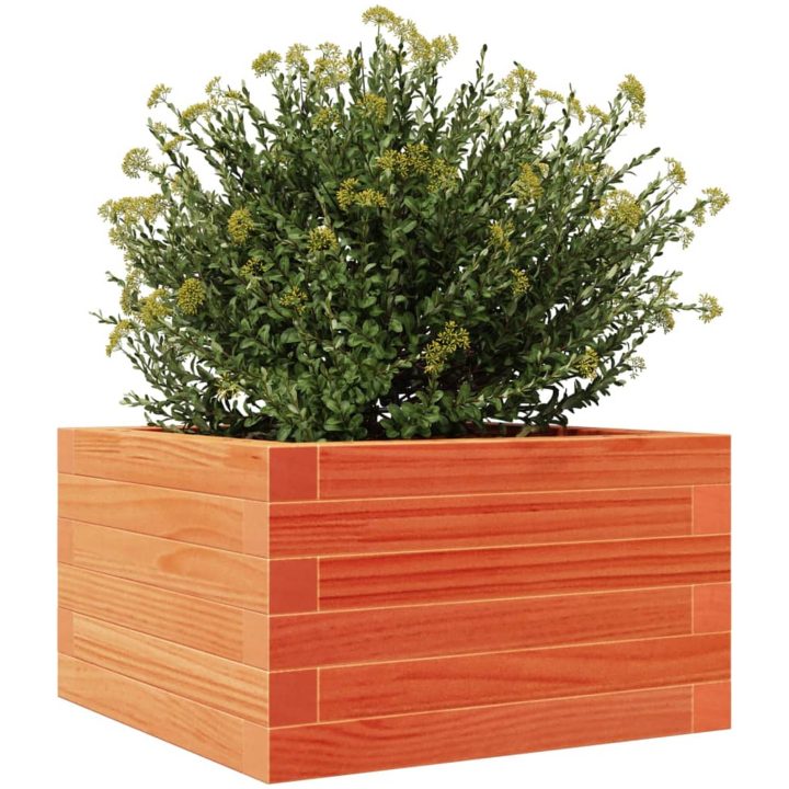 Odlingslåda vaxbrun massiv furu vidaXL 40 x 40 x 23 cm – bild 4