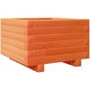 Odlingslåda vaxbrun massiv furu vidaXL 40 x 40 x 26.5 cm – miniatyr 2