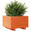 Odlingslåda vaxbrun massiv furu vidaXL 40 x 40 x 26.5 cm – miniatyr 4