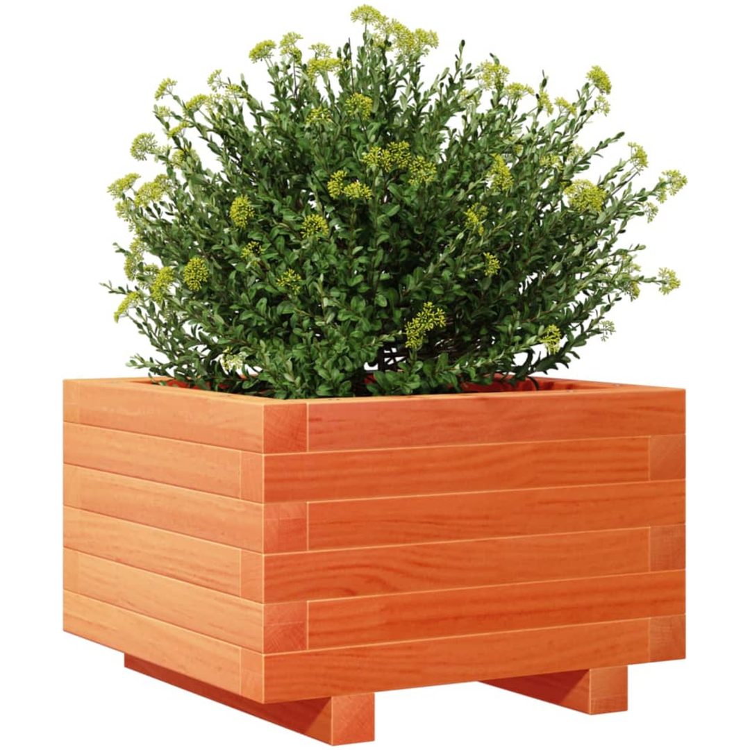 Odlingslåda vaxbrun massiv furu vidaXL 40 x 40 x 26.5 cm – bild 4