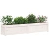 Odlingslåda vit 150x31x31 cm massiv furu vidaXL – miniatyr 4