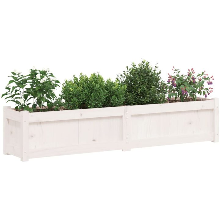 Odlingslåda vit 150x31x31 cm massiv furu vidaXL – bild 4