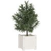 Odlingslåda vit 31x31x31 cm massiv furu vidaXL – miniatyr 3