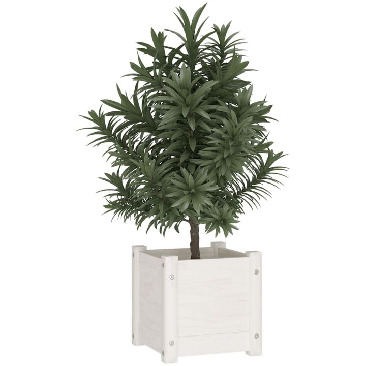 Odlingslåda vit 31x31x31 cm massiv furu vidaXL – bild 3
