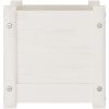 Odlingslåda vit 31x31x31 cm massiv furu vidaXL – miniatyr 4