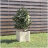 Odlingslåda vit 31x31x31 cm massiv furu vidaXL – miniatyr 1
