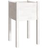 Odlingslåda vit 40x40x70 cm massiv furu vidaXL – miniatyr 2