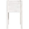 Odlingslåda vit 40x40x70 cm massiv furu vidaXL – miniatyr 4