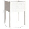 Odlingslåda vit 50x50x70 cm massiv furu vidaXL – miniatyr 7