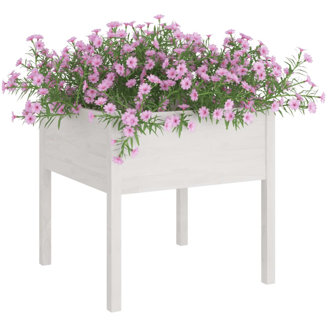 Odlingslåda vit 70x70x70 cm massiv furu vidaXL – bild 3