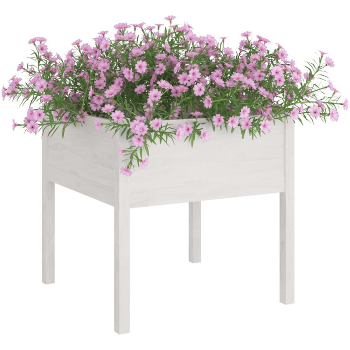 Odlingslåda vit 70x70x70 cm massiv furu vidaXL – bild 3