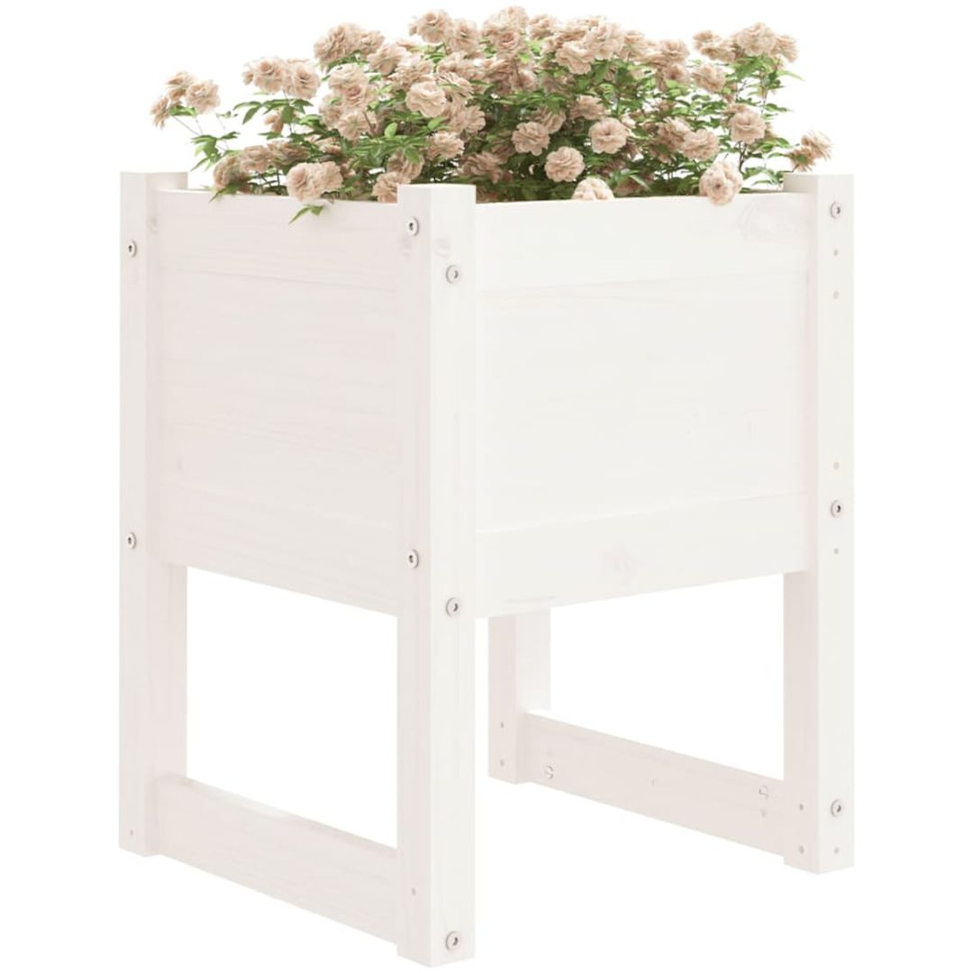 Odlingslåda vit massiv furu vidaXL 40 x 40 x 52.5 cm – bild 3