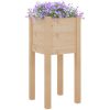 Odlingslådor 2 st 31x31x70 cm massiv furu vidaXL – miniatyr 3