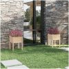 Odlingslådor 2 st 50x50x70 cm massiv furu vidaXL – miniatyr 1