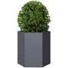 Odlingslådor 2 st antracit sexkantig stål vidaXL 46 x 40 x 45 cm – miniatyr 5