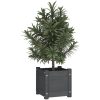 Odlingslådor 2 st grå 31x31x31 cm massiv furu vidaXL – miniatyr 3