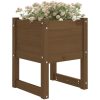 Odlingslådor 2 st honungsbrun massiv furu vidaXL 40 x 40 x 52.5 cm – miniatyr 3
