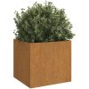 Odlingslådor 2 st rosttrögt stål vidaXL 32 x 30 x 29 cm – miniatyr 3
