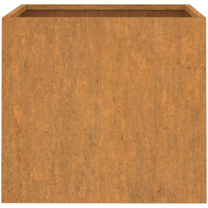 Odlingslådor 2 st rosttrögt stål vidaXL 32 x 30 x 29 cm – bild 6