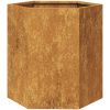 Odlingslådor 2 st sexkantig rosttrögt stål vidaXL 46 x 40 x 45 cm – miniatyr 10