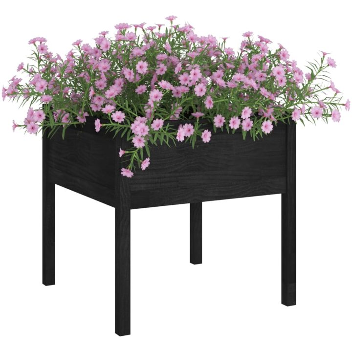 Odlingslådor 2 st svart 70x70x70 cm massiv furu vidaXL – bild 3