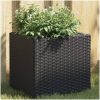 Odlingslådor 2 st svart konstrotting vidaXL 36 x 30 x 32 cm – miniatyr 1