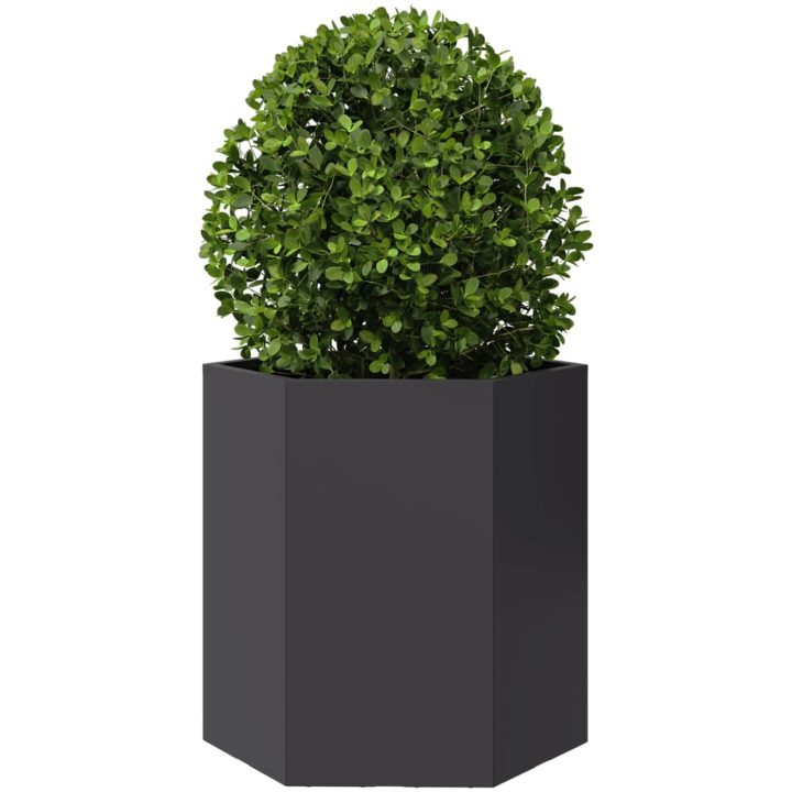 Odlingslådor 2 st svart sexkantig stål vidaXL 46 x 40 x 45 cm – bild 5