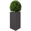 Odlingslådor 2 st svart triangulär stål vidaXL 50 x 43 x 75 cm – miniatyr 4