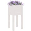 Odlingslådor 2 st vit 31x31x70 cm massiv furu vidaXL – miniatyr 3