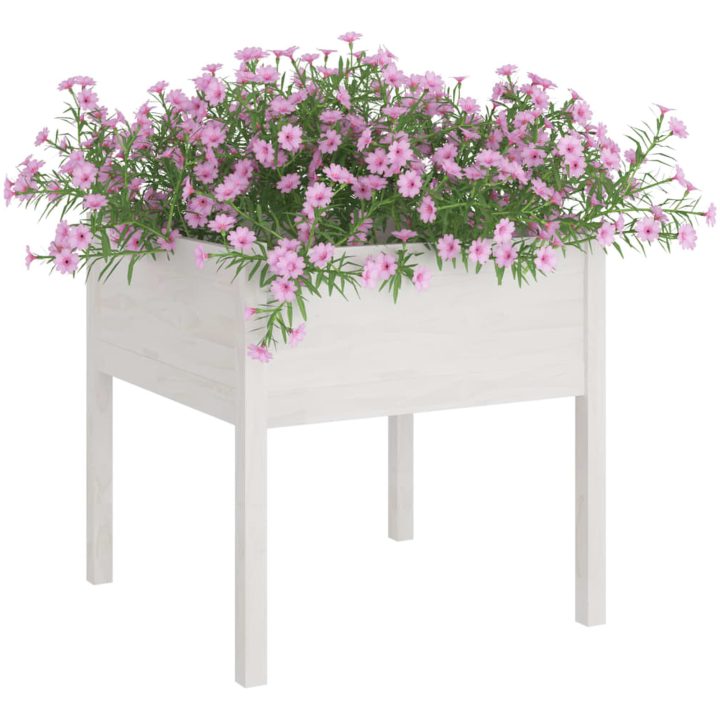 Odlingslådor 2 st vit 70x70x70 cm massiv furu vidaXL – bild 3