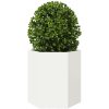 Odlingslådor 2 st vit sexkantig stål vidaXL 46 x 40 x 45 cm – miniatyr 5