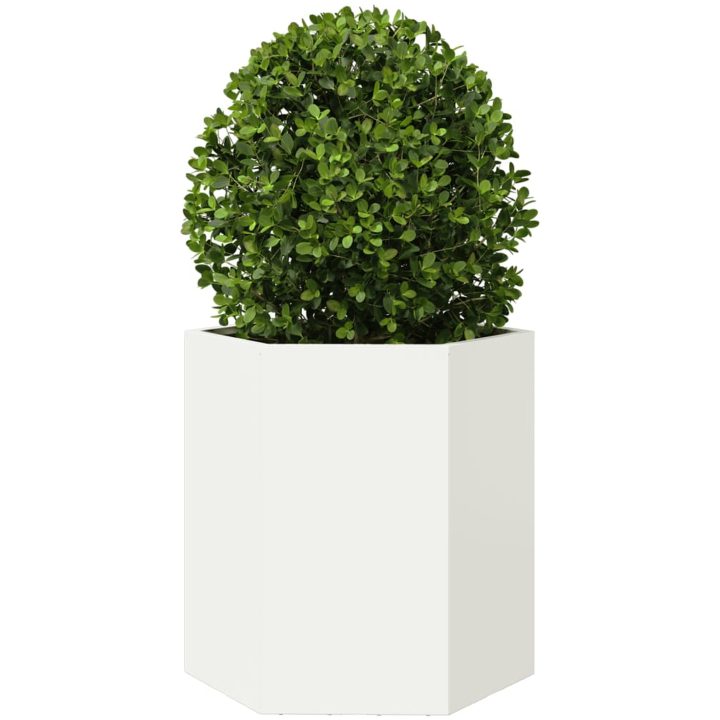 Odlingslådor 2 st vit sexkantig stål vidaXL 46 x 40 x 45 cm – bild 5