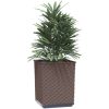 Odlingslådor 4 st brun 30x30x37 cm polypropylen vidaXL – miniatyr 3