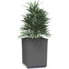 Odlingslådor 4 st svart 30x30x37 cm polypropylen vidaXL – miniatyr 3