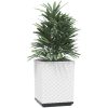 Odlingslådor 4 st vit 30x30x37 cm polypropylen vidaXL – miniatyr 3