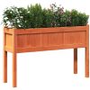Odlingslådor med ben vaxbrun 110x31x70 cm massiv furu vidaXL – miniatyr 4