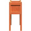 Odlingslådor med ben vaxbrun 70x31x70 cm massiv furu vidaXL – miniatyr 6