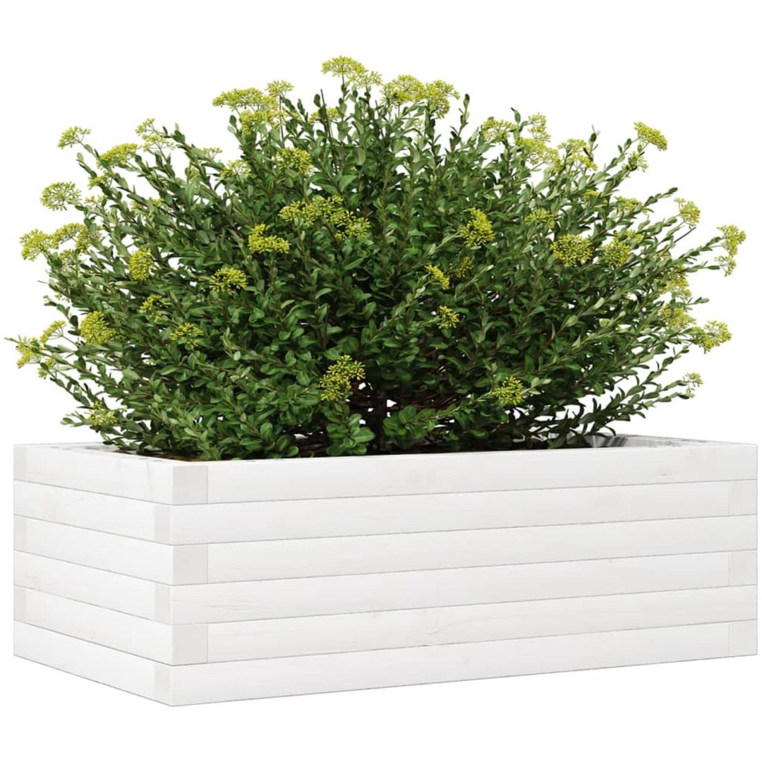 Odlingslådor vit massiv furu vidaXL 70 x 40 x 23 cm – bild 4