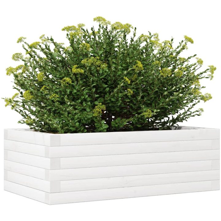 Odlingslådor vit massiv furu vidaXL 70 x 40 x 23 cm – bild 4
