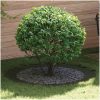 Olivgröna Blomlådor Olivgrön Plast Olivgröna Blomlådor vidaXL Stor – miniatyr 1