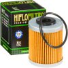 Oljefilter HIFLO Oljefilter FFP013 ATHENA – miniatyr 3
