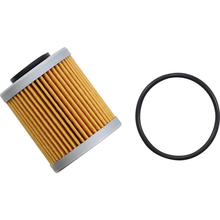 Oljefilter HIFLO Oljefilter FFP013 ATHENA – bild 2